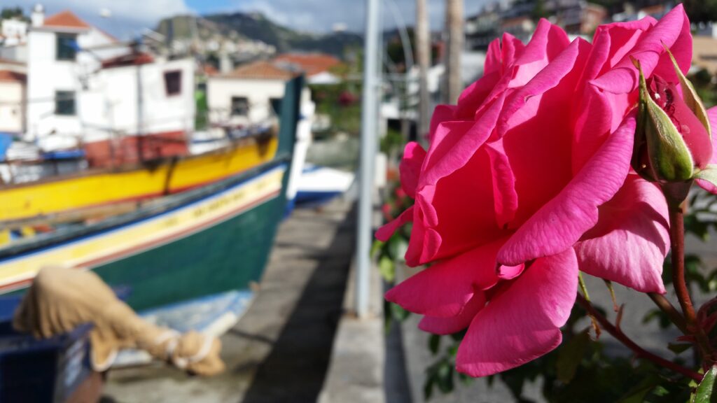 Madeira