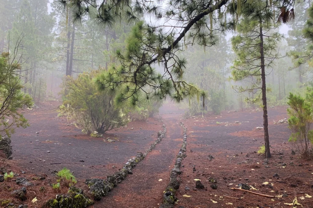Enjoying hikes is one of the benefits of sober travel