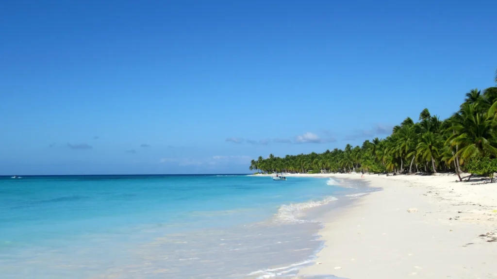 Calm ocean waves meeting a sandy beach under soft natural light, symbolizing peace and the benefits of sober travel