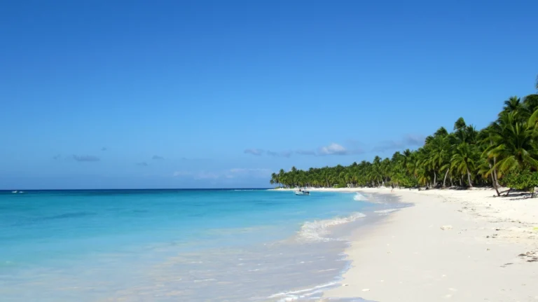 Calm ocean waves meeting a sandy beach under soft natural light, symbolizing peace and the benefits of sober travel